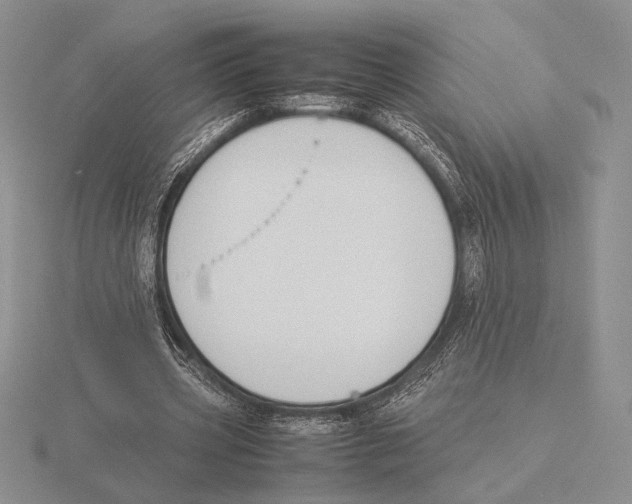 X0000115780533200912111129