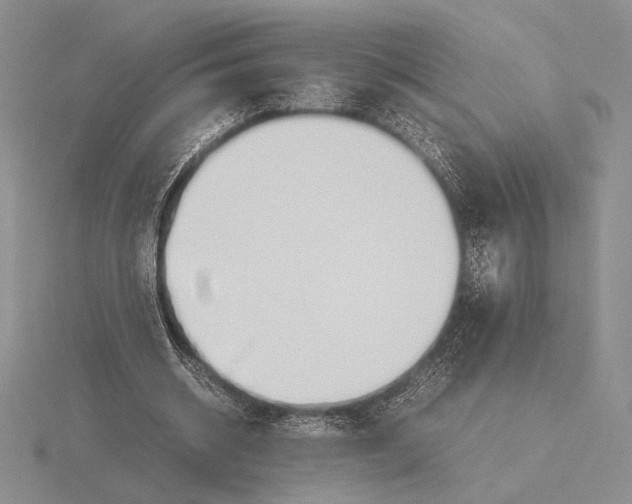 X0000115780534200912111129