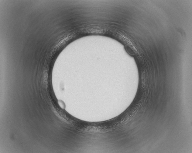 X0000115780538200912111129