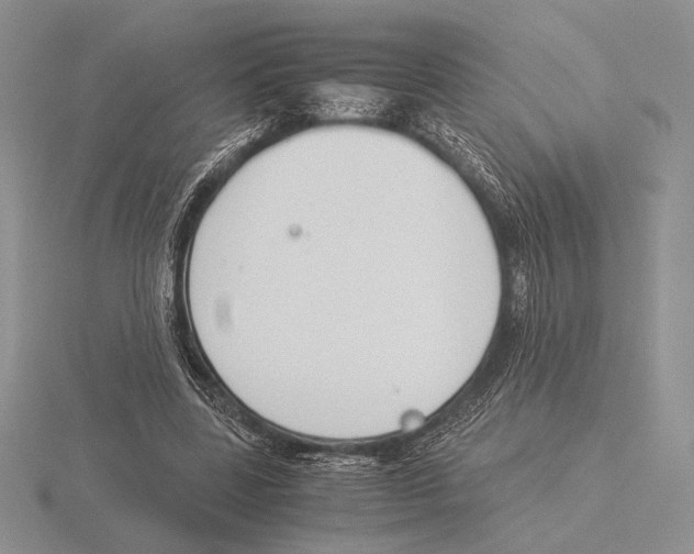 X0000115780539200912111129