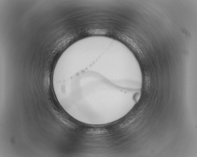 X0000115780541200912111129