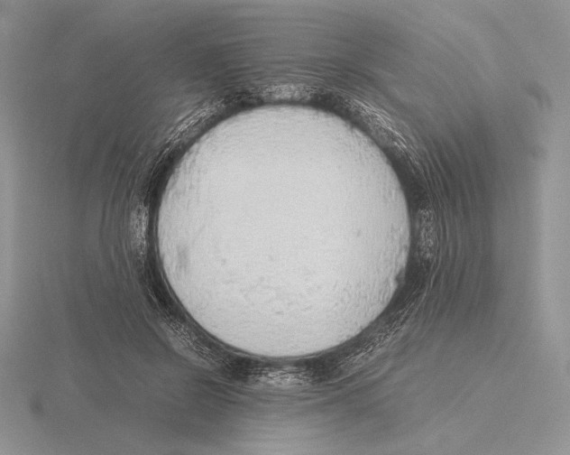 X0000115780550200912111129