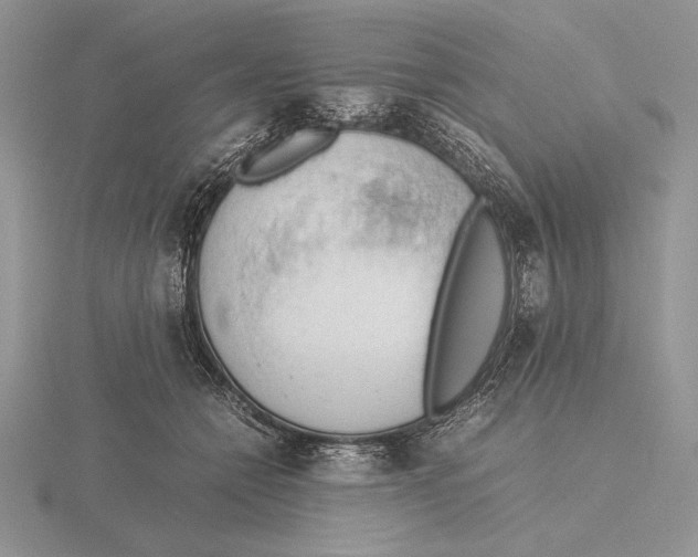 X0000115780558200912111129