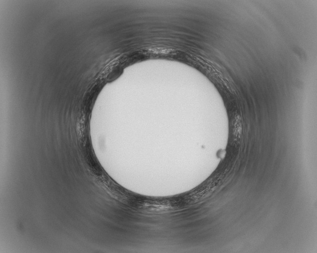 X0000115780559200912111129