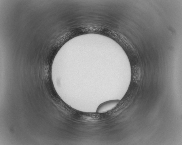 X0000115780563200912111129