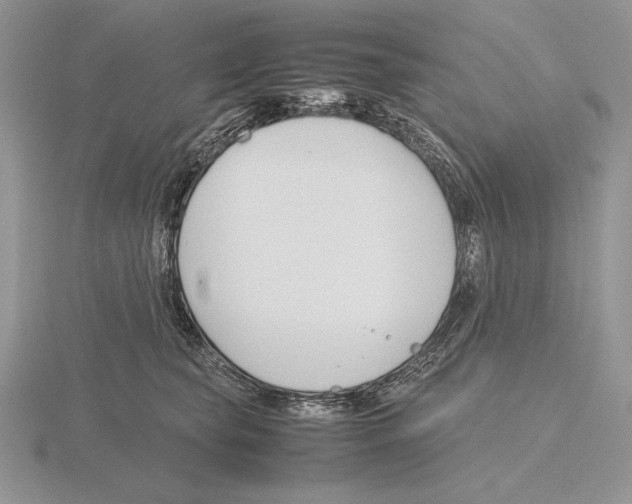 X0000115780565200912111129