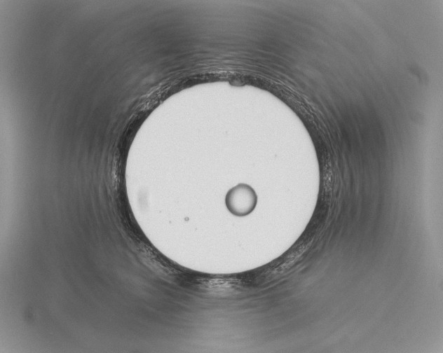 X0000115780566200912111129