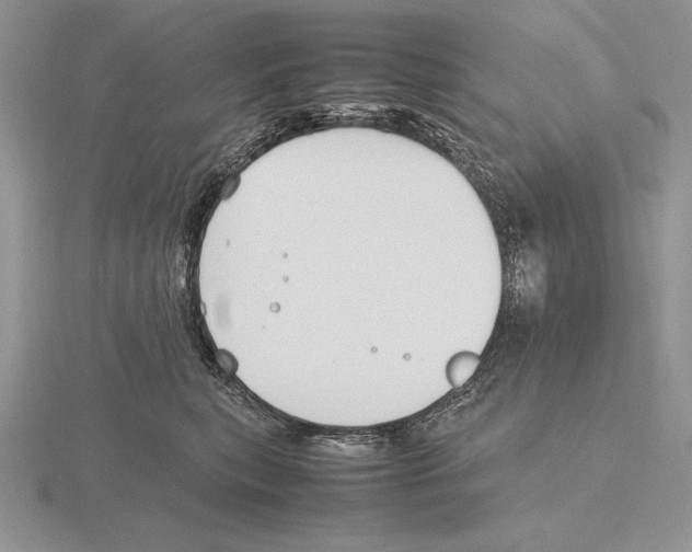 X0000115780567200912111129