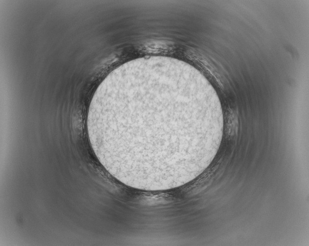 X0000115780569200912111129