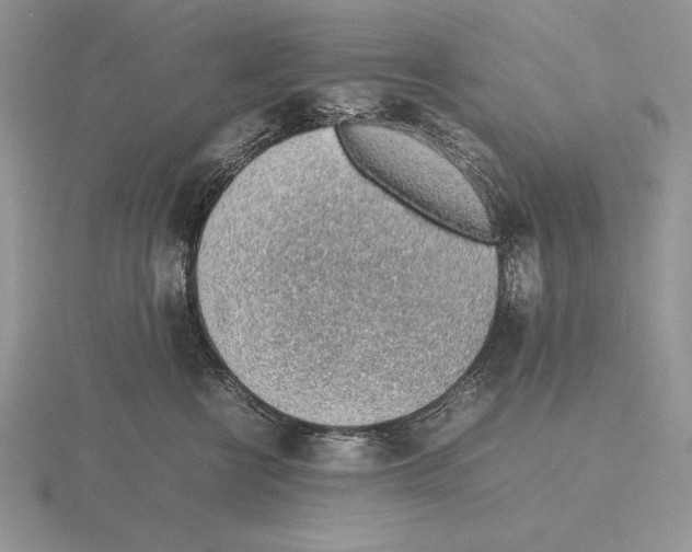 X0000115780570200912111129