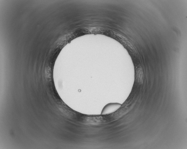 X0000115780571200912111129