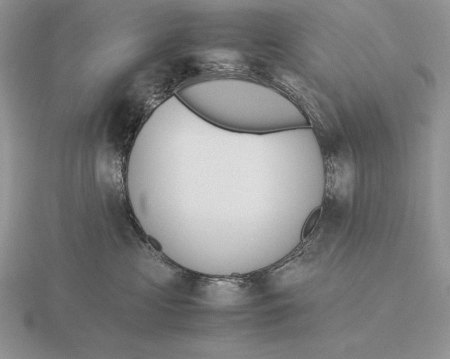 X0000115780573200912111129