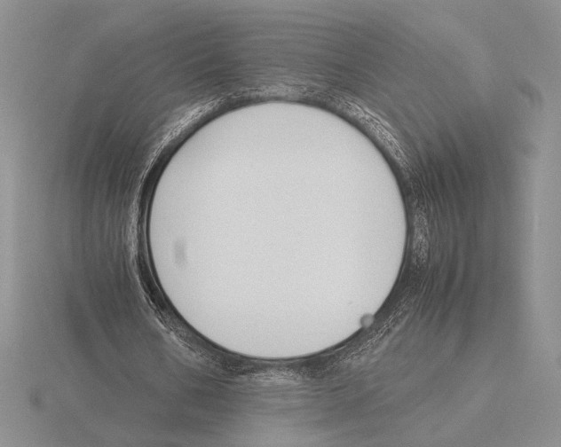 X0000115780578200912111129