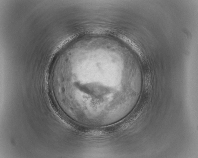 X0000115780581200912111129