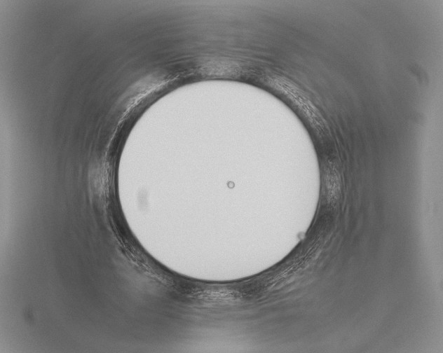 X0000115780583200912111129