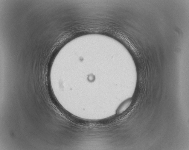 X0000115780585200912111129