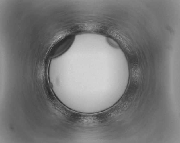 X0000115780587200912111129