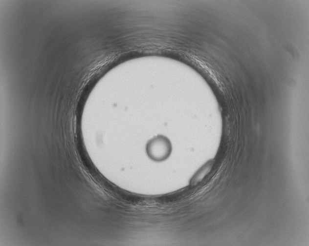 X0000115780589200912111129