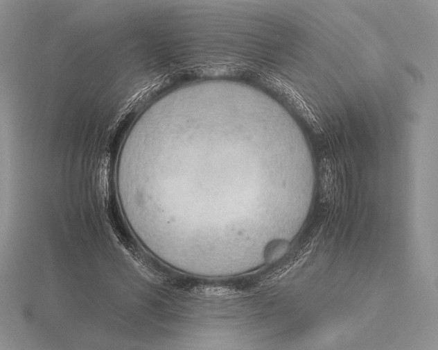 X0000115780590200912111129