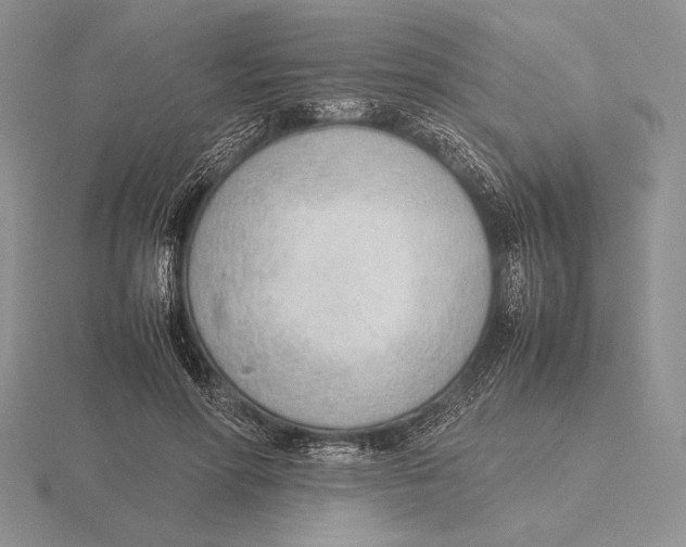 X0000115780598200912111129