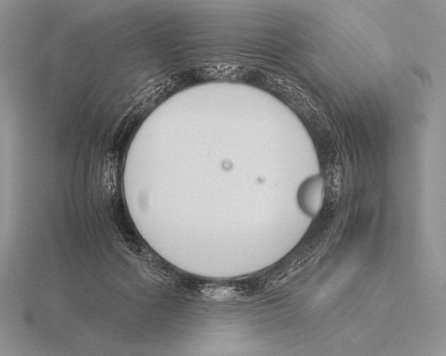 X0000115780602200912111128