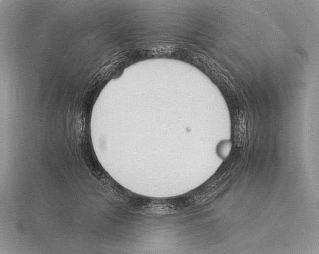 X0000115780608200912111128