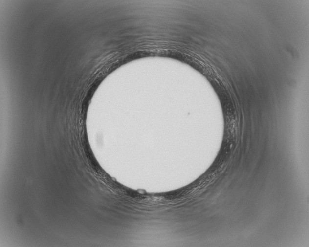 X0000115780609200912111128