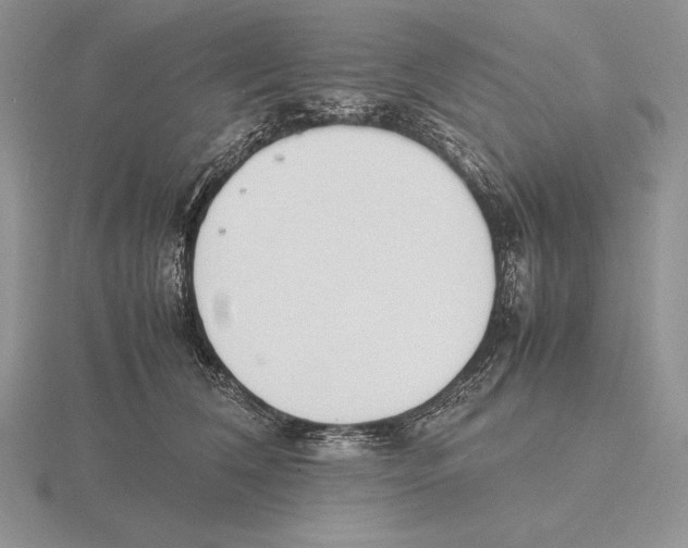 X0000115780612200912111128