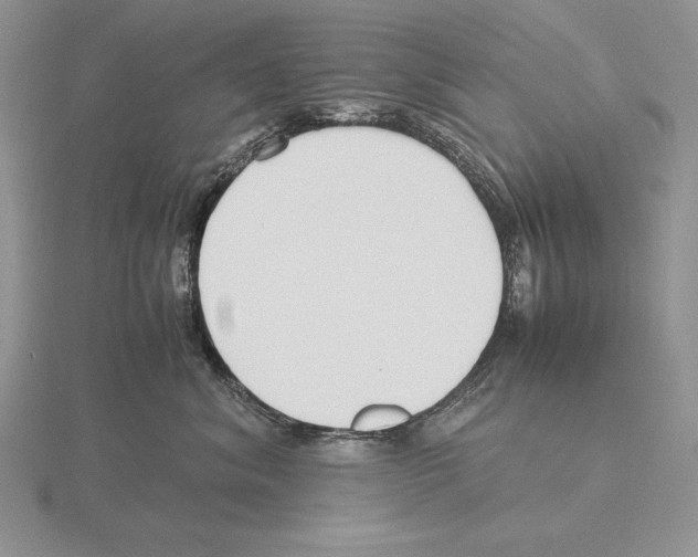 X0000115780620200912111128