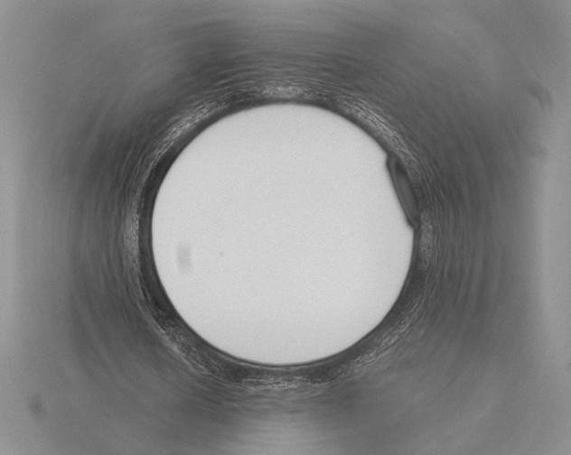 X0000115780626200912111128