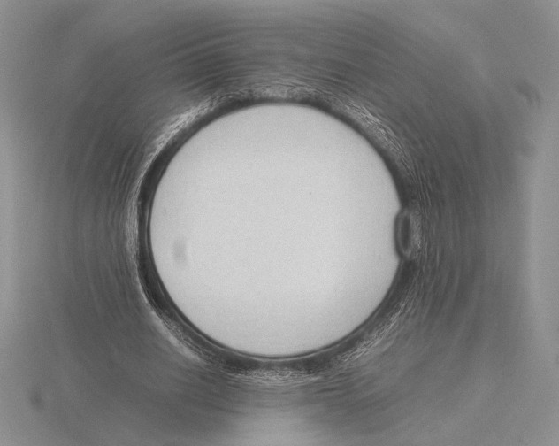 X0000115780630200912111128