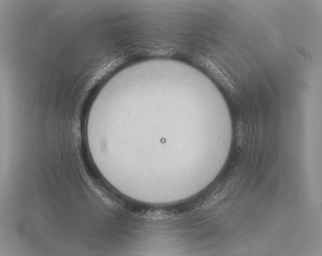 X0000115780634200912111128