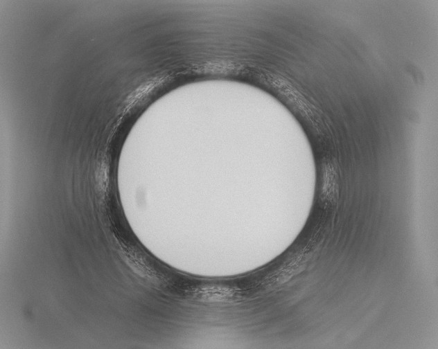 X0000115780636200912111128