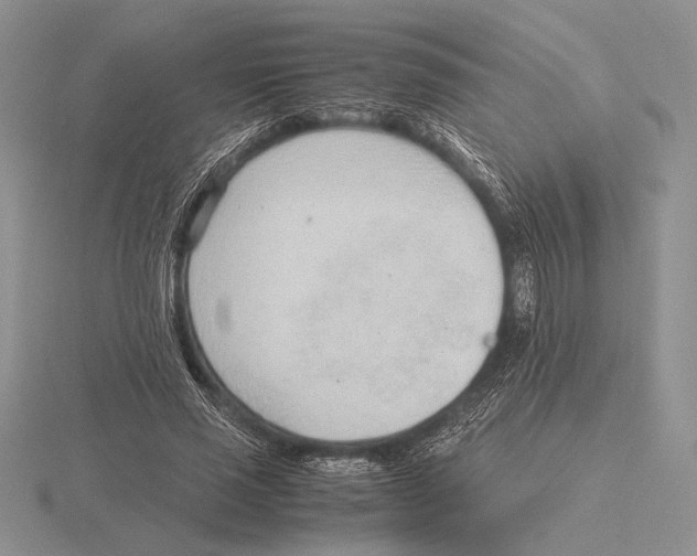 X0000115780637200912111128