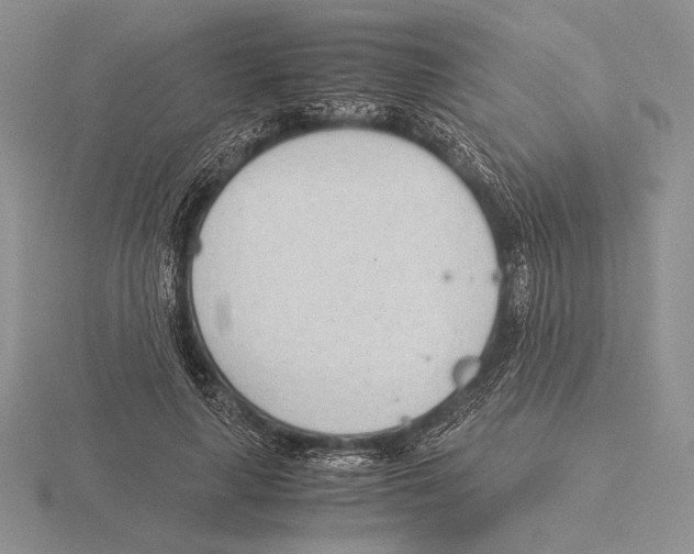 X0000115780643200912111128