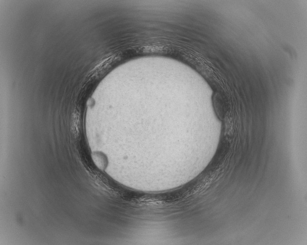 X0000115780648200912111128