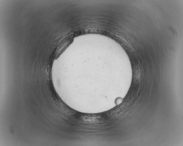 X0000115780661200912111128