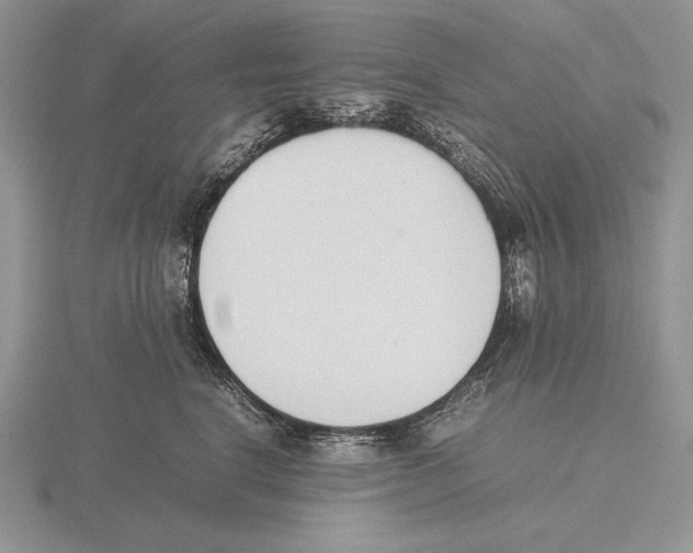 X0000115780664200912111128