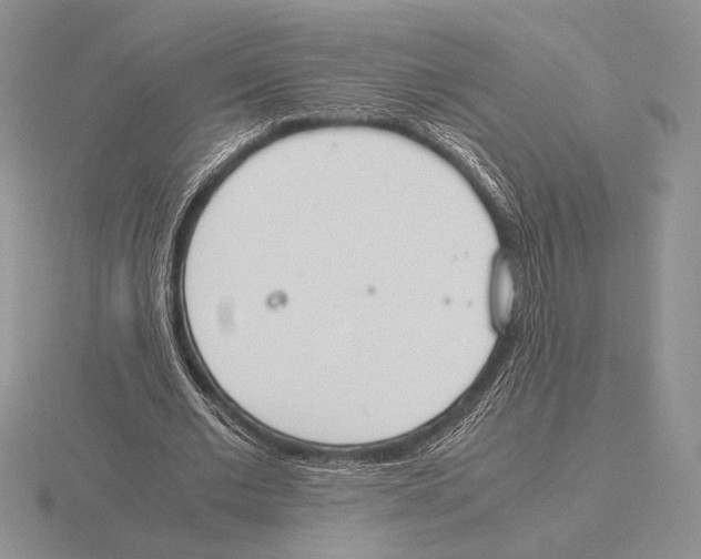 X0000115780677200912111127