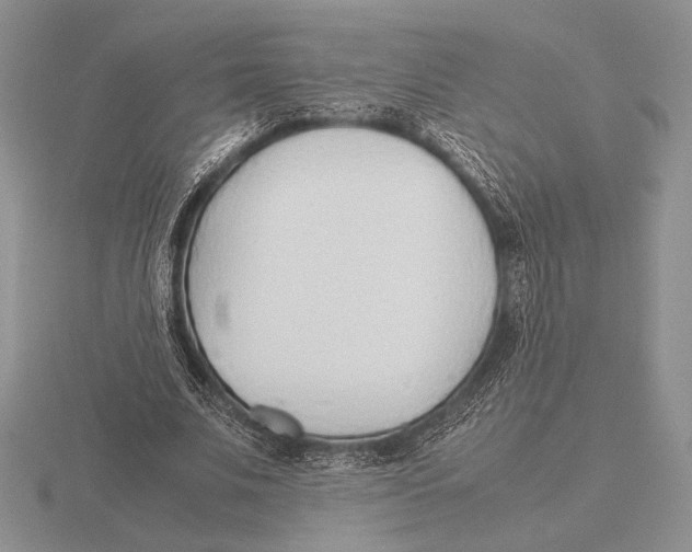 X0000115780679200912111127