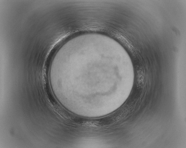 X0000115780680200912111127