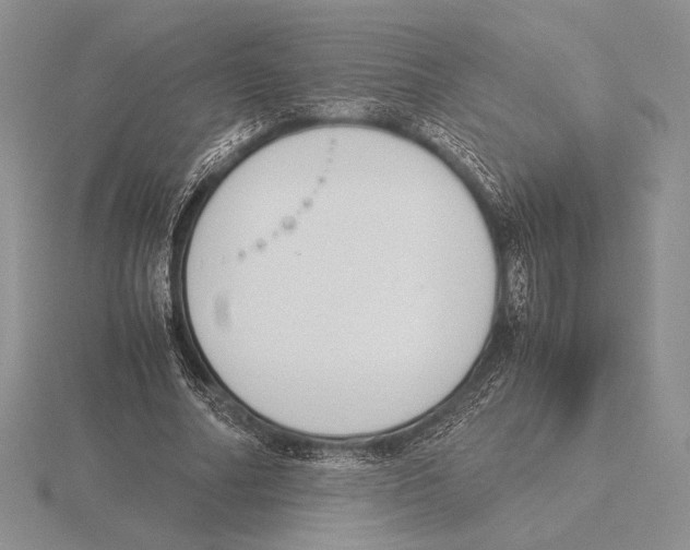 X0000115780682200912111127