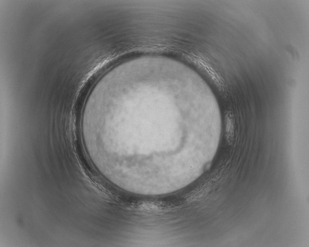 X0000115780684200912111127