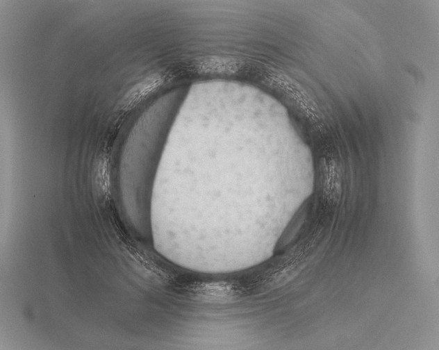 X0000115780692200912111127