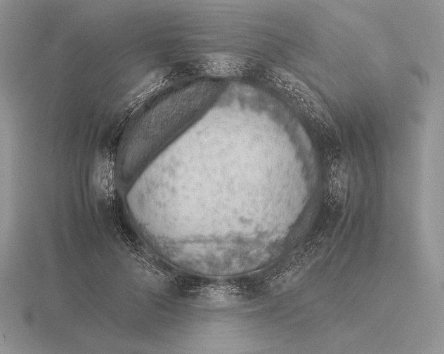 X0000115780696200912111127