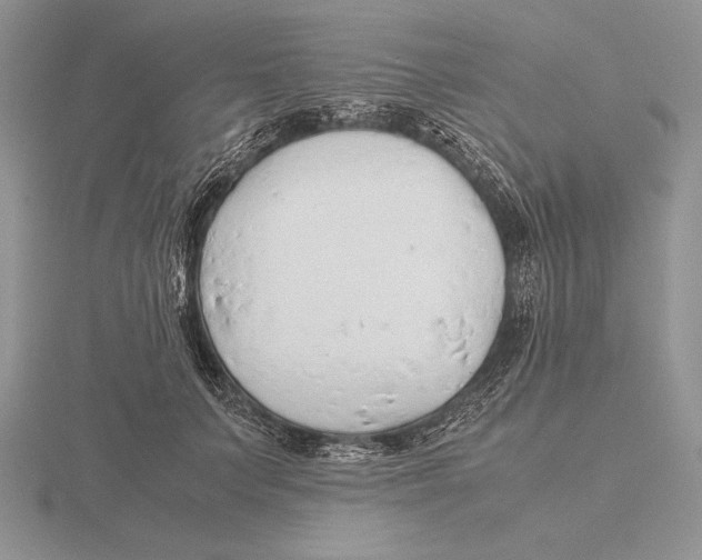 X0000115780703200912111127