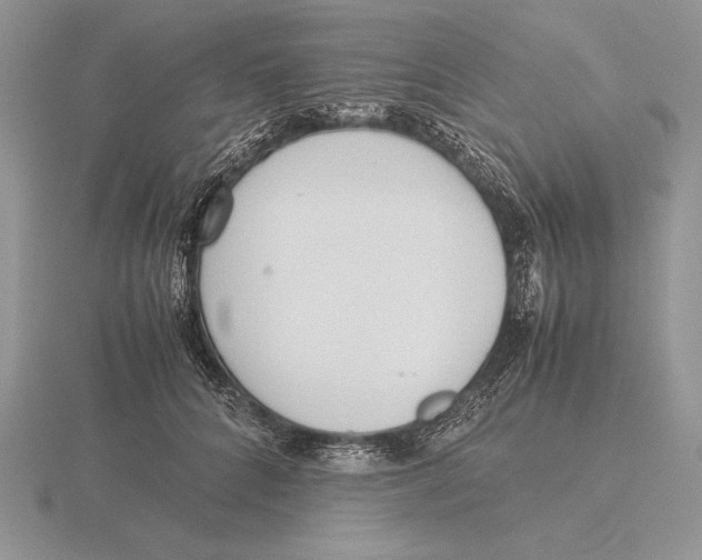 X0000115780704200912111127