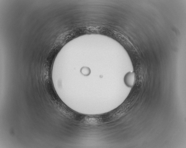 X0000115780706200912111127