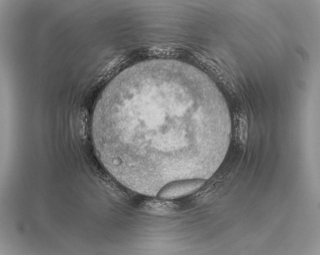 X0000115780712200912111127