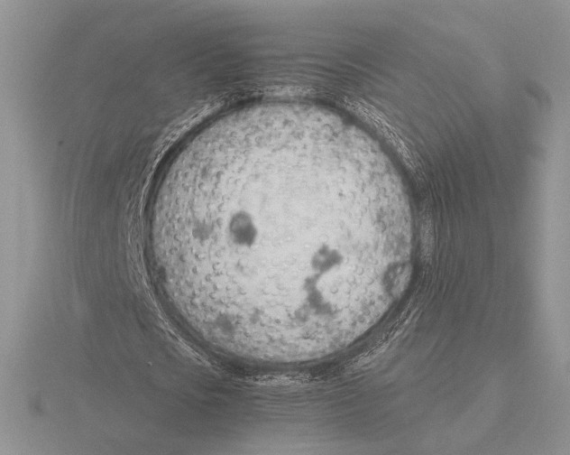 X0000115780721200912111126